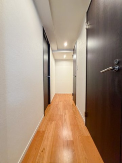 【その他】 | グランディ市谷柳町 | 本物件玄関廊下周り。床と建具の色のコントラストがオシャレ！2018年に室内大規模リフォーム履歴有