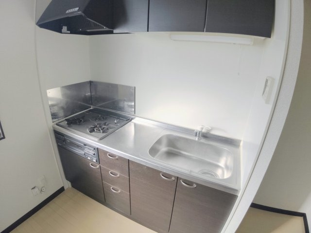 レオネクストフォールのキッチン