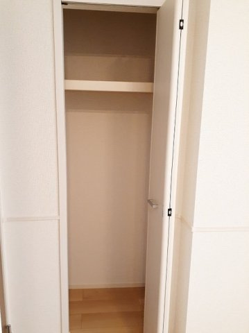 ＰＬＡＩＮ　桃の木のその他