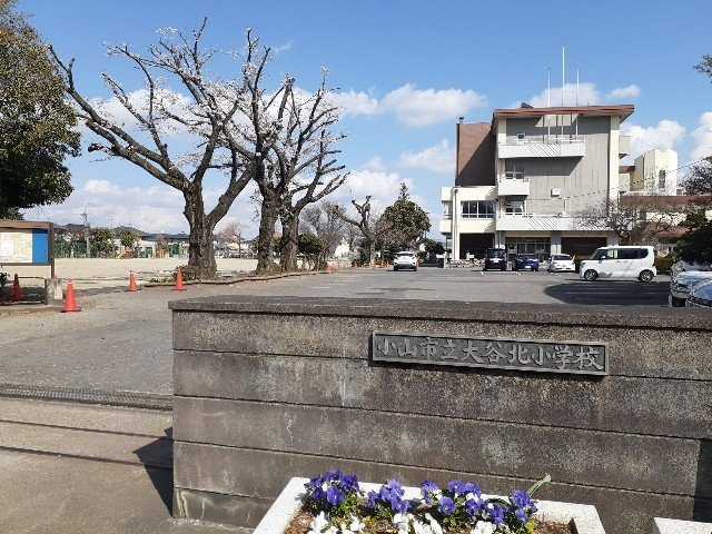 シイナハイツⅡの周辺|小山市立大谷北小学校まで550m