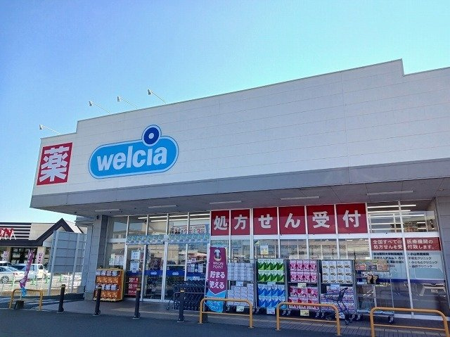 ティールの周辺|ウエルシア小山羽川店まで750m