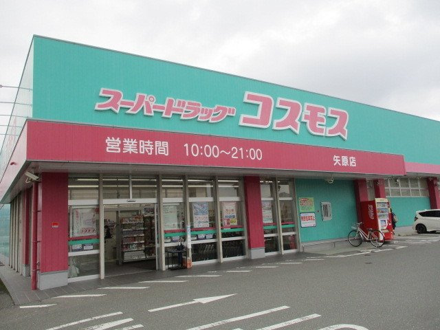 プラシード　ガーデン　Ｅの周辺|ドラッグコスモスまで800m