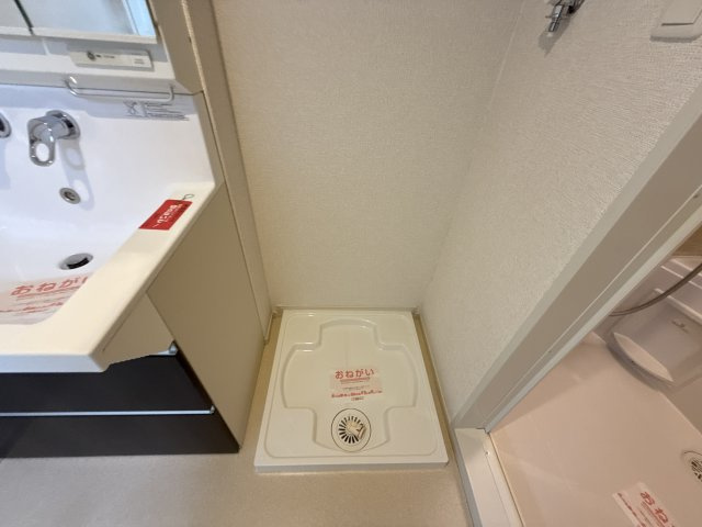 フィレール　デュ　トラジャⅦのその他