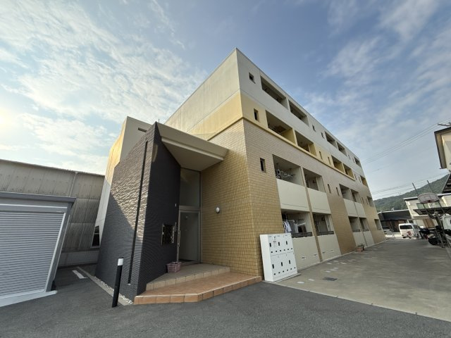フィレール　デュ　トラジャⅦ
