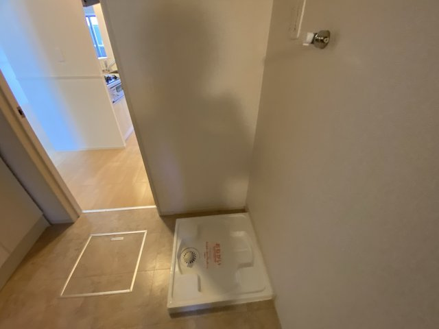 ヴィオラ　堂本のその他