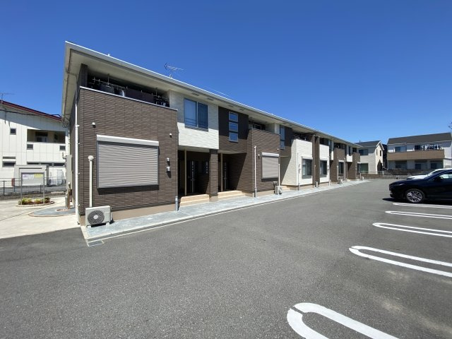 ヴィオラ　堂本