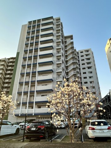 レクセルプラザ東陽町の現況写真|現況写真