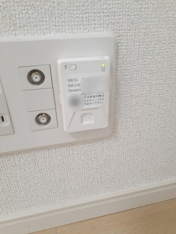 ルーナ・Ｆのその他