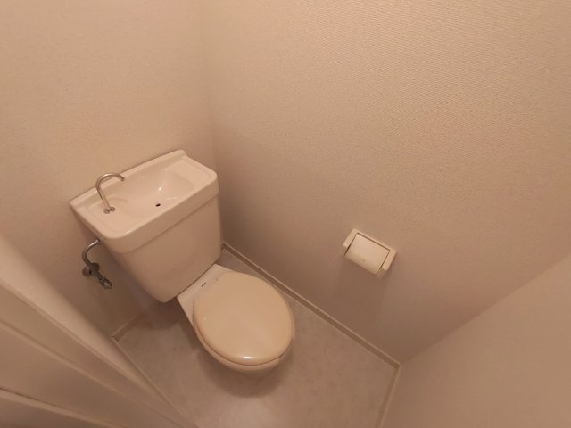 サニーガーデンハウスＡのトイレ