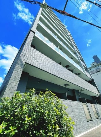 ストームの外観