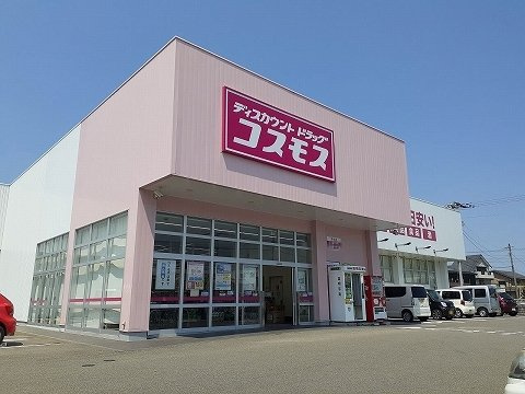 サントゥール　ウエストの周辺|コスモス府中店様まで1500m