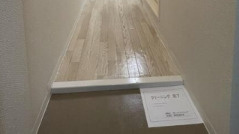 ウエストインパート１０の玄関