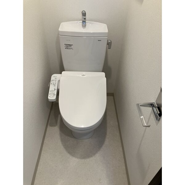 エステムコート名古屋ライブゲートのトイレ|落ち着いた色調のトイレです