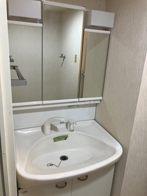 【洗面所】 | ダイアパレス・ビッグウィング深谷 | 広い洗面スペース