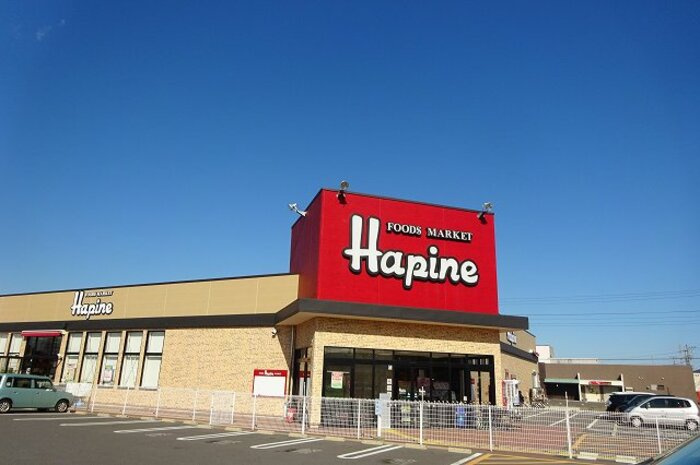シエロ　ル　シャトーの周辺|フーズマーケットハピネ知手店