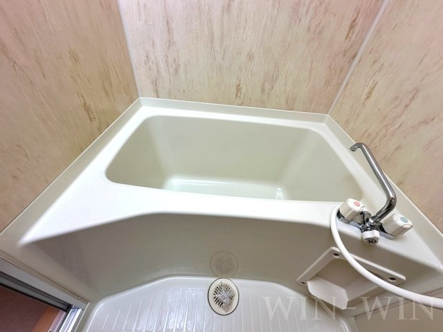 ライフイン・エスタの浴室