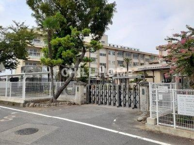 ピアチェーレ野中Ａの周辺|当社、チルホームのHPもご覧ください(^^)/物件情報多数♪