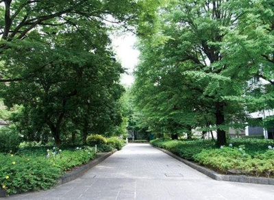 【周辺】 | GENOVIA 東神田 green veil(ジェノヴィア東神田グリーンヴェール)