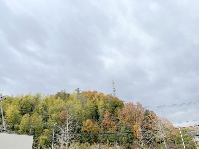 グリーンシャルマン　D棟の展望