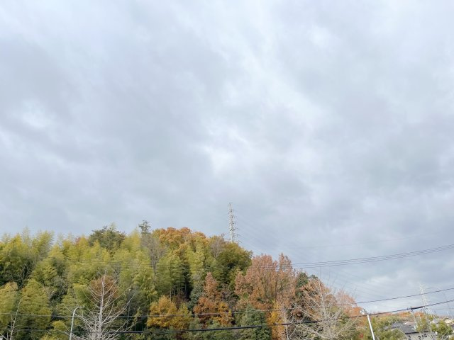 グリーンシャルマン　D棟の展望