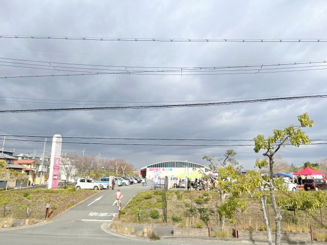 グリーンシャルマン　D棟の展望