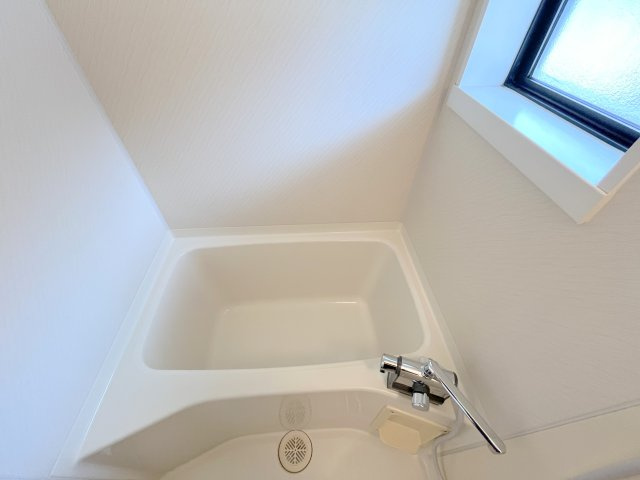 グリーンシャルマン　D棟の浴室