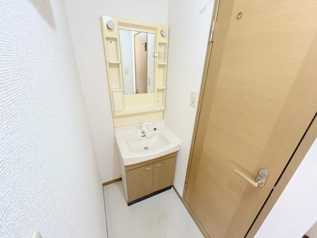 グリーンシャルマン　D棟の独立洗面台