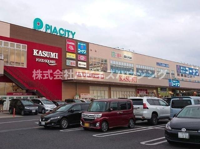 プラムヒルズⅠの周辺|ピアシティ柏中新宿まで800m