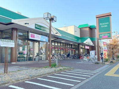 【周辺】 | 緑溢れる玉川上水緑道至近！立川市砂川町6丁目　新築戸建【全2棟】 | ピーコックストア