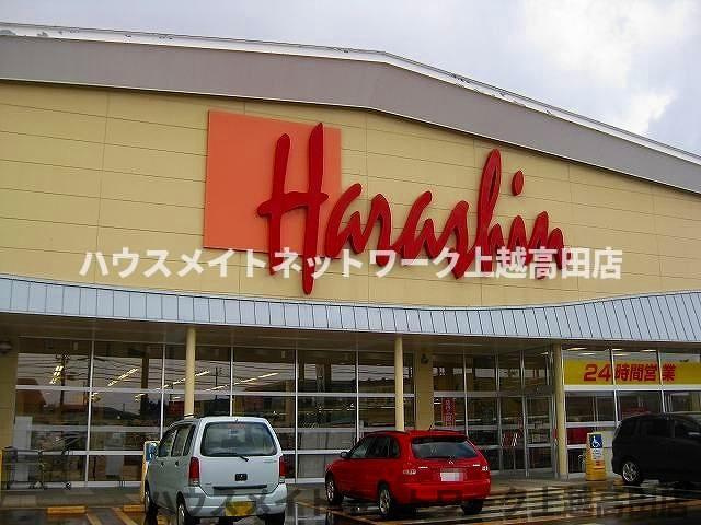 アベニールⅠの周辺|その他