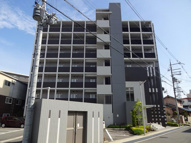 カンナビーノの画像