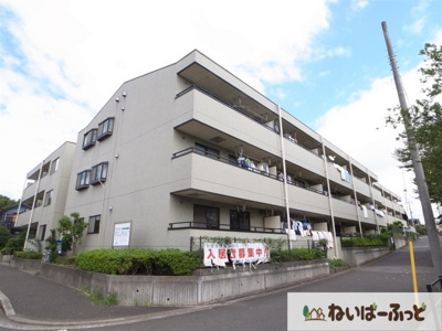 【外観】 | フィールドハウス青葉伍番館 | 裏手は大きな青葉の森公園　環境の良いフィールドハウス青葉