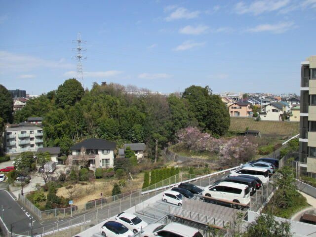 ザ・パークハウス上麻生の展望