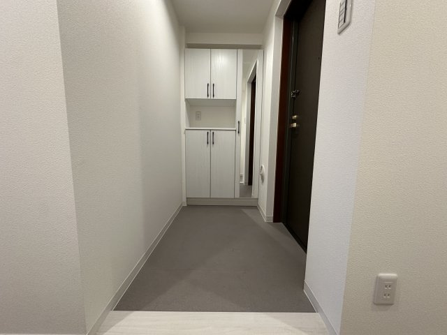 ナイスアーバンステイツ三ツ境の玄関|収納もたっぷりの明るい玄関は段差が少ないフラットスタイルです。