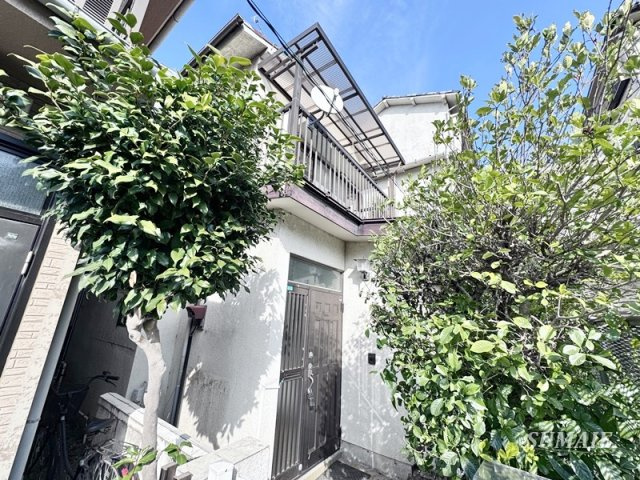 マエノチョウコダテ