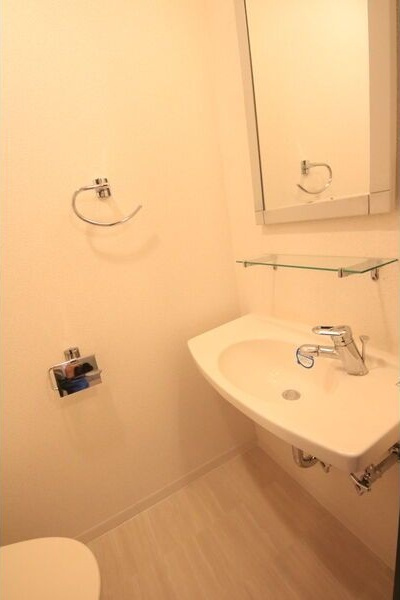 パークフラッツ金山の洗面所