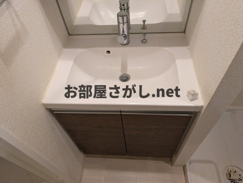 ラフィスタ本蓮沼【おとり物件なし】#学生・社会人にオススメ！初期費用分割払いOK！の洗面所