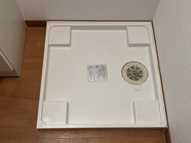 レオントポディウム　Ⅱ番館のその他