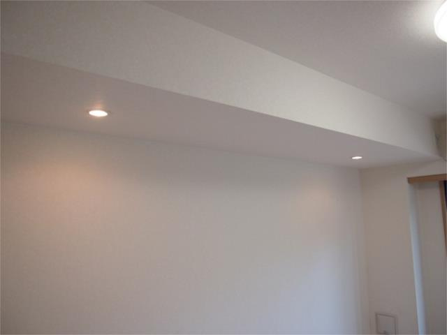 川崎市高津区久地１丁目の賃貸マンションの内装|ダウンライト