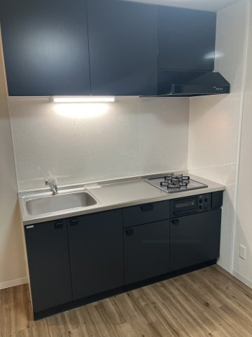 志木市本町６丁目の賃貸マンションのキッチン