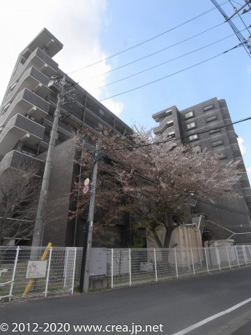 ピジョン田園の外観