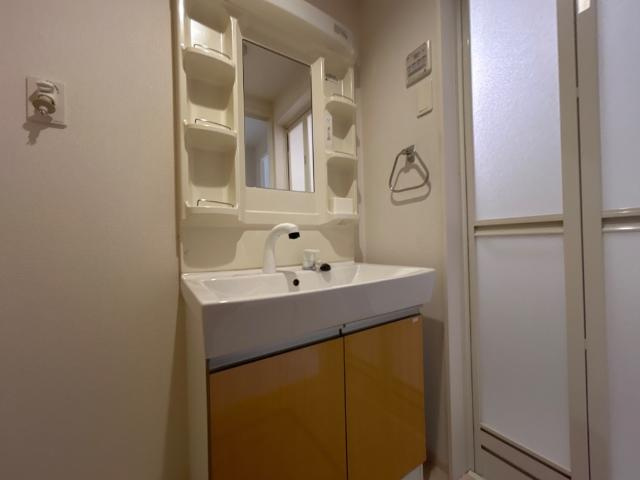 ラルーチェ　サンリッチの洗面所|洗面