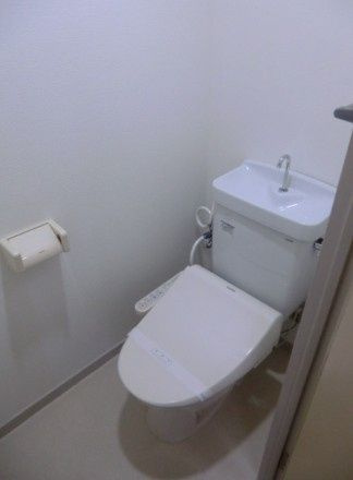 阪上ロイヤルハイツ第二のトイレ