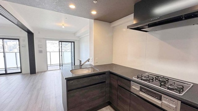 【キッチン】 | エステムコートパークウイングス | 2025年2月築、セミオーダーオプション多数施工。上品な内装と豪華な設備の快適な住まい