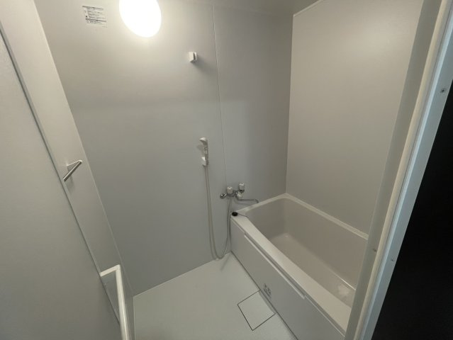 ミースロワイヤルの浴室