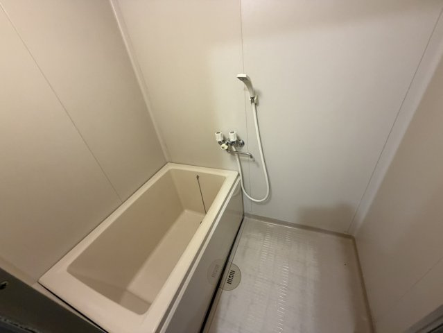 ミースロワイヤルの浴室
