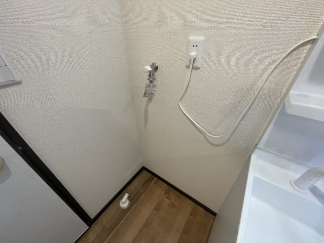 ミースロワイヤルの洗面所