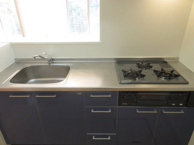 扇グリーンヴィレッジ　Ａのキッチン|同建物・別号室画像・同仕様