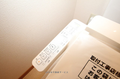 【トイレ】 | コンフォール柿の木 | 落ち着いた色調のトイレです
コンフォール柿の木205号室　2022/11/14撮影