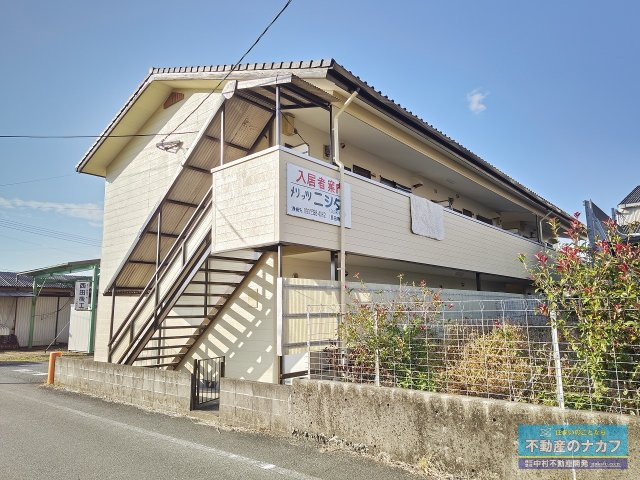 メリッツニシダ